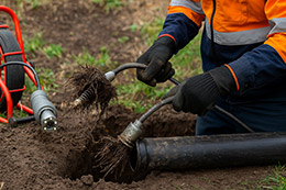 Root Removal & Clearing Root Removal & Clearing